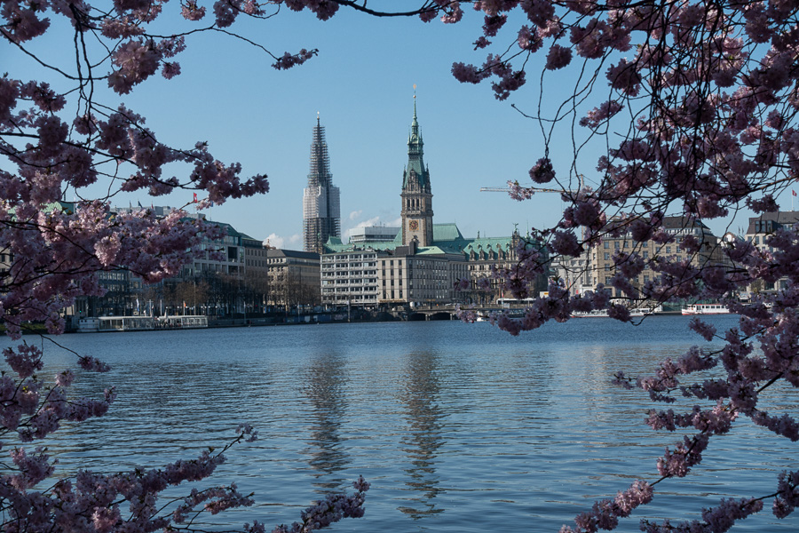 Binnenalster zur Kirschbluete DSC00161-Bearbeitet.jpg