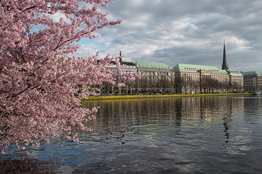 Binnenalster im Fruehling L1010204-Bearbeitet.jpg