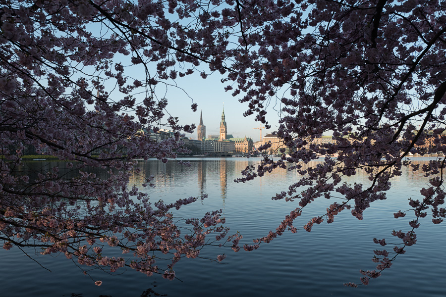 Binnenalster im Fruehling L1010235-Bearbeitet.jpg