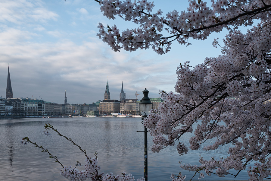 Binnenalster am Morgen L1010267-Bearbeitet.jpg