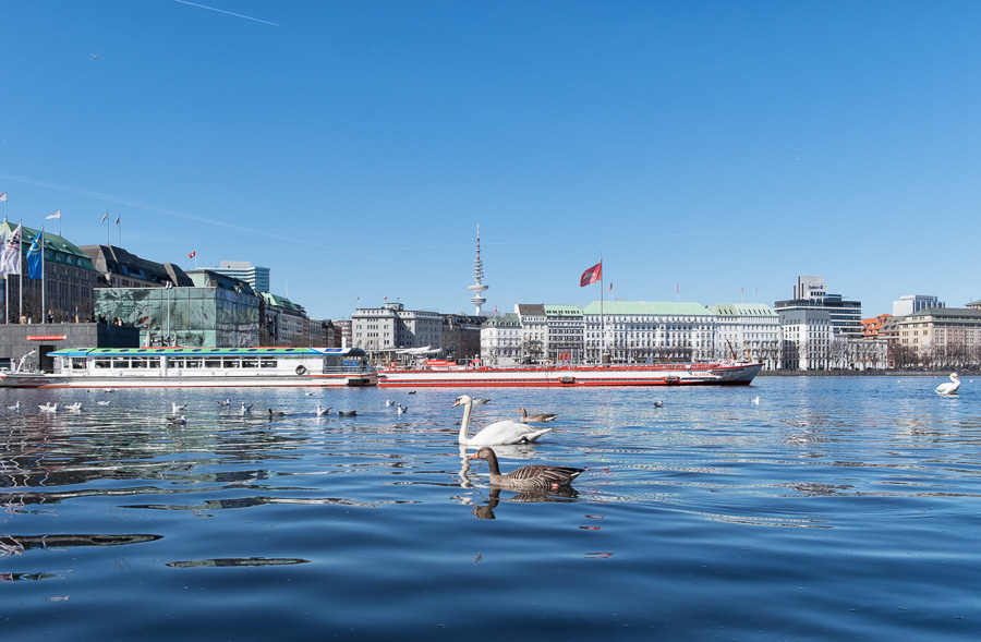 Hamburger Binnenalster im Fruehling _DSF1135-Bearbeitet.jpg
