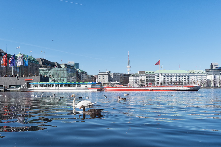 Hamburger Binnenalster im Fruehling _DSF1136-Bearbeitet.jpg