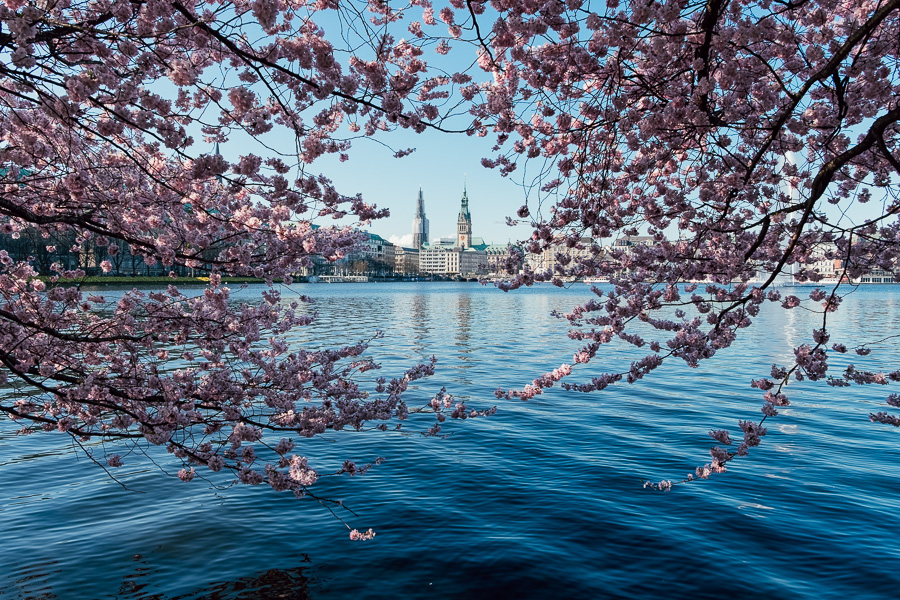 Binnenalster im Fruehling _DSF1634-Bearbeitet.jpg