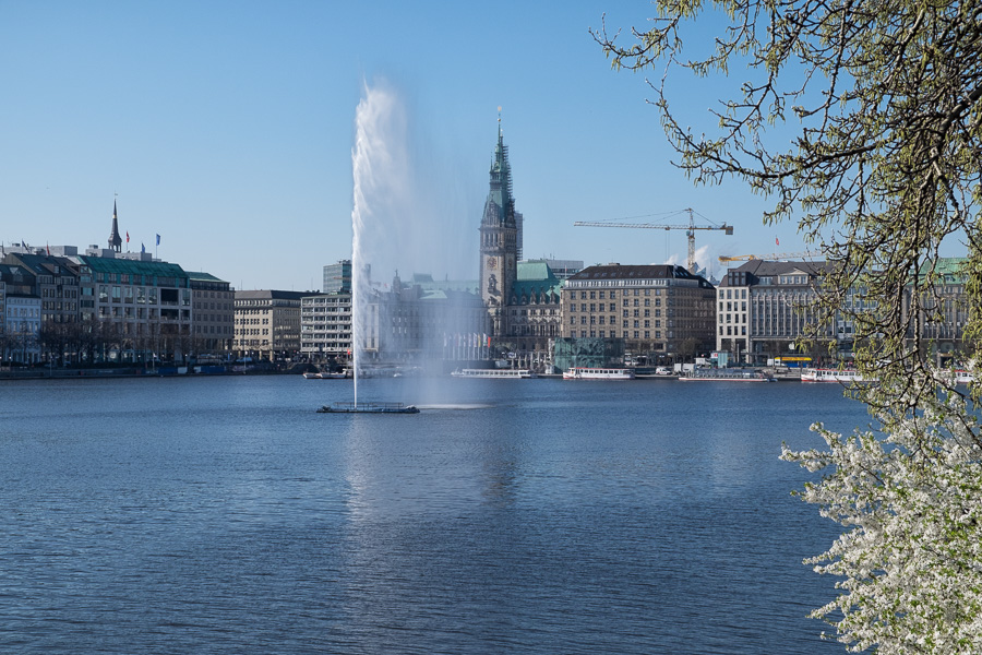 Hamburger Binnenalster _DSF1650-Bearbeitet.jpg