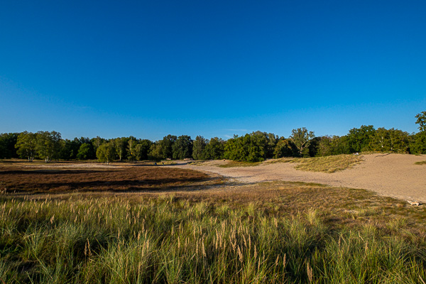 Boberger Niederung Boberger-Niederung_Hamburg_DSCF4133.jpg