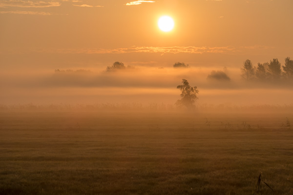 Sonneaufgang mit Nebel P1010697.jpg