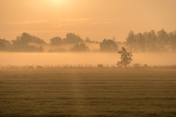 _P1010715.jpg _P1010715.jpg