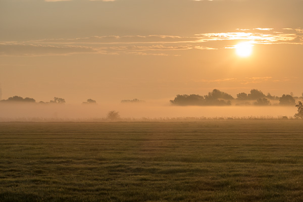 _P1010723.jpg _P1010723.jpg