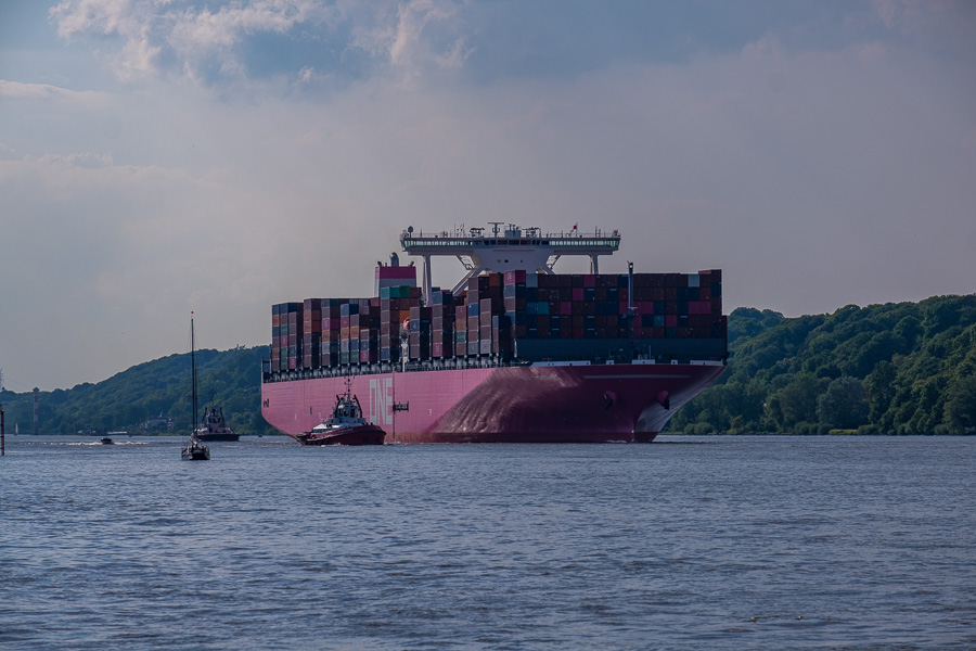 ONE Columbo H1193715.jpg