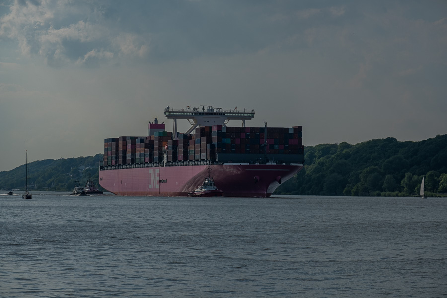 ONE Columbo H1193718.jpg