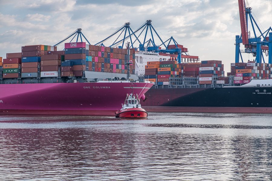 ONE Columbo H1193870.jpg