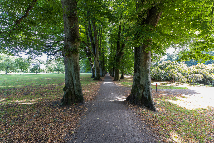 Hirschpark Blankenese_081A0113.jpg