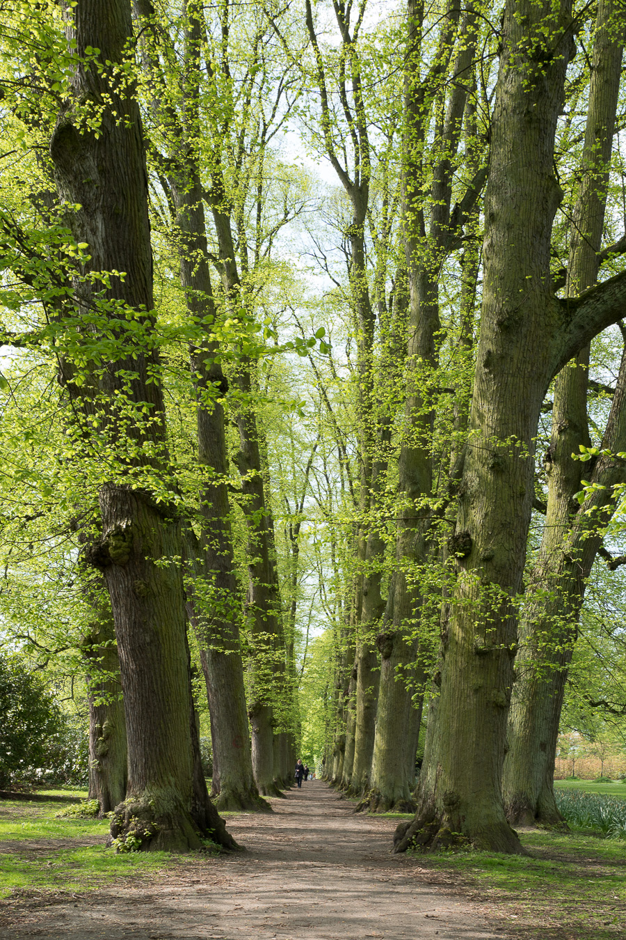 L1020102.jpg L1020102.jpg