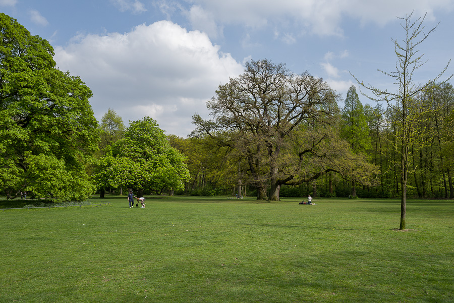 L1020108-Bearbeitet-3.jpg L1020108-Bearbeitet-3.jpg