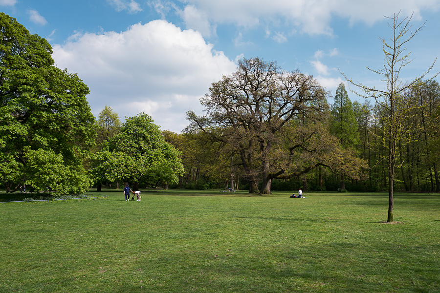 Hirschpark L1020108-Bearbeitet.jpg