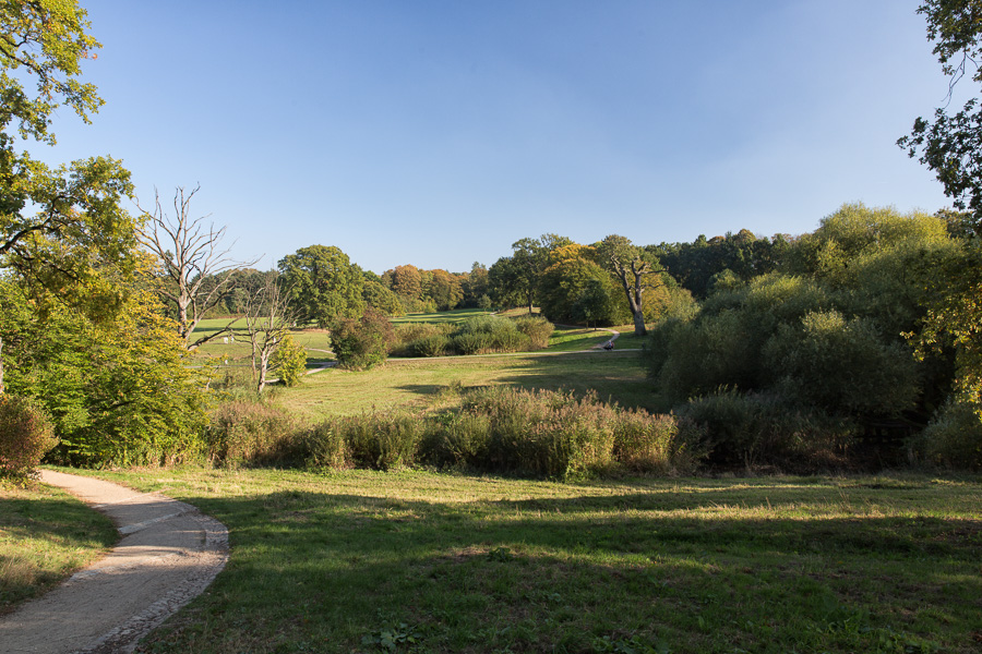 Jenisch Park ZN5A6345-Bearbeitet.jpg