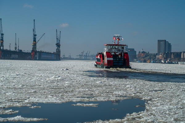 DSC01740.jpg DSC01740.jpg