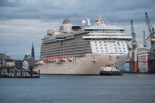 Regal Princess auf dem Weg ins Dock DSCF5292-Bearbeitet.jpg