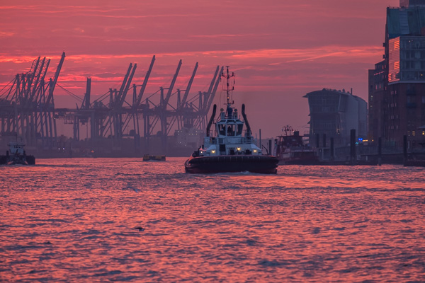 DSCF9977.jpg DSCF9977.jpg