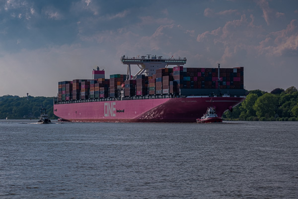 ONE Columbo H1193735.jpg