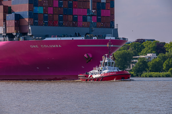 ONE Columbo H1193750.jpg