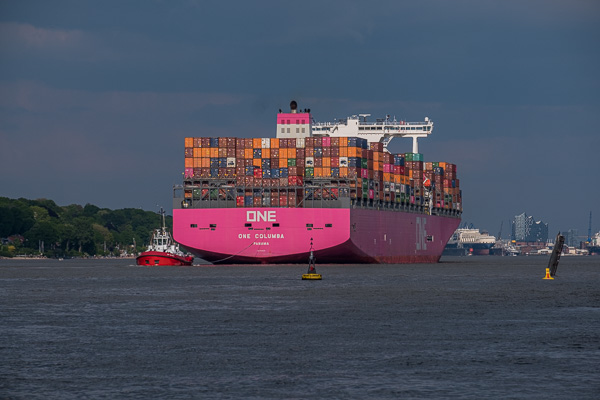 ONE Columbo H1193813.jpg