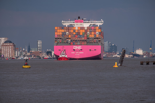 ONE Columbo H1193836.jpg