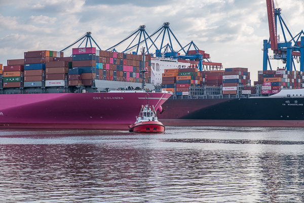 ONE Columbo H1193870.jpg