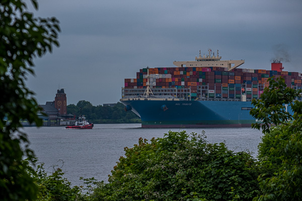 Containerschiff Mol Tribute H1195032.jpg