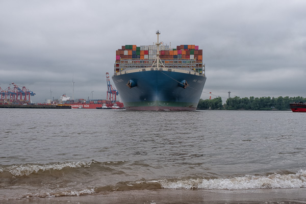 Containerschiff Mol Tribute H1195109-Bearbeitet.jpg