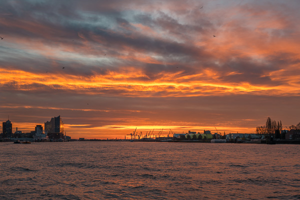 Morgens am Hamburger Hafen L1060501.jpg