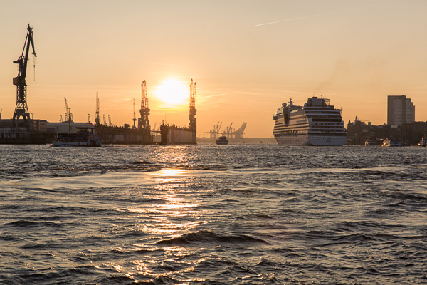 ZN5A6389-Bearbeitet.jpg ZN5A6389-Bearbeitet.jpg