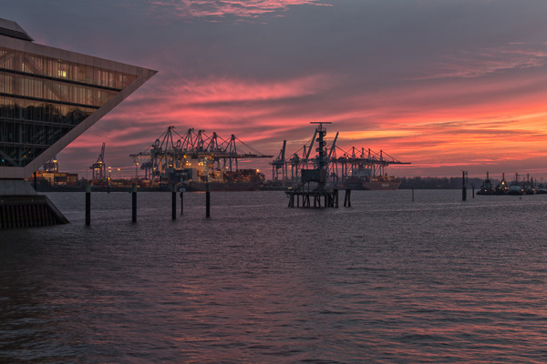 Sonnenuntergang am Burchardkai 1114 ZN5A7750-Bearbeitet.jpg