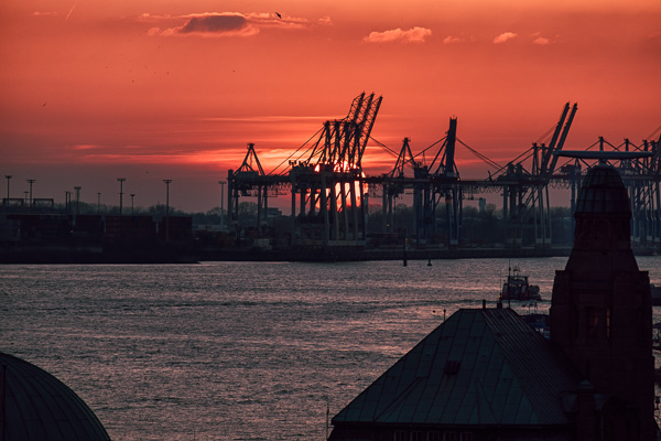 _DSF0311-Bearbeitet.jpg _DSF0311-Bearbeitet.jpg