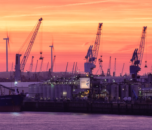 Kraene im Hamburger Hafen _DSF8647-Bearbeitet.jpg