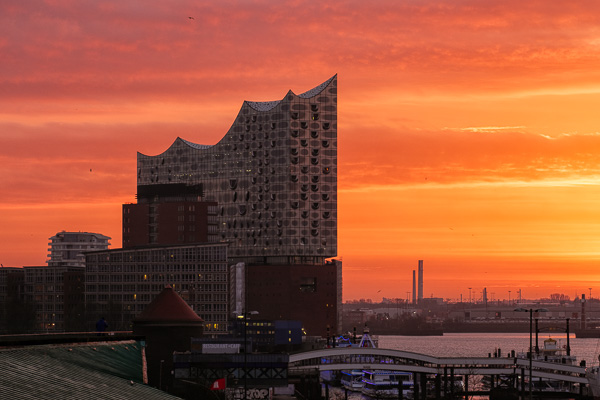 Elbphilharmonie am Morgen _DSF8669-Bearbeitet.jpg