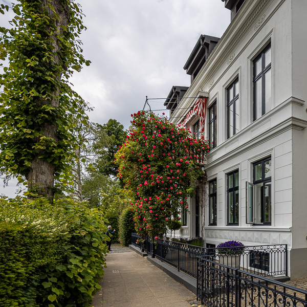 Haus in Oevelgoenne 081A7513.jpg