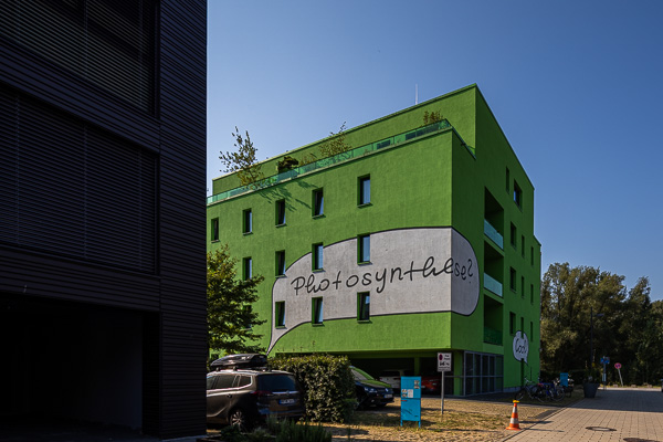 Am Inselpark in Wilhelmsburg 081A9438.jpg