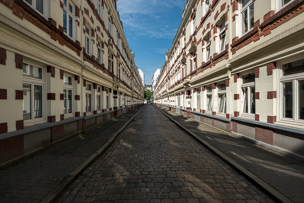 DSCF6554.jpg DSCF6554.jpg