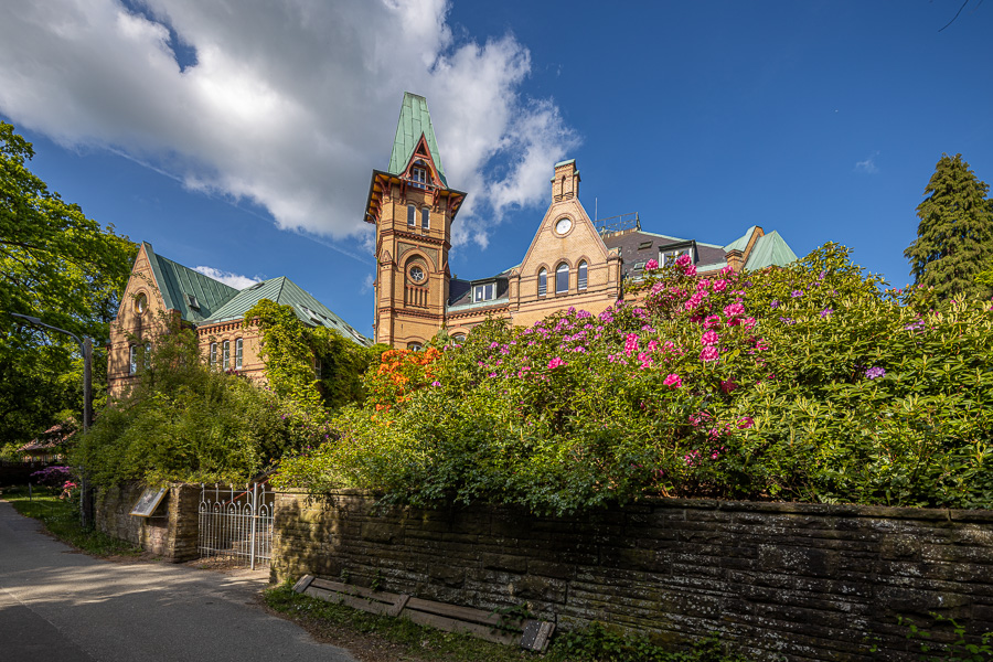 Schloss Seedorf 081A7319.jpg