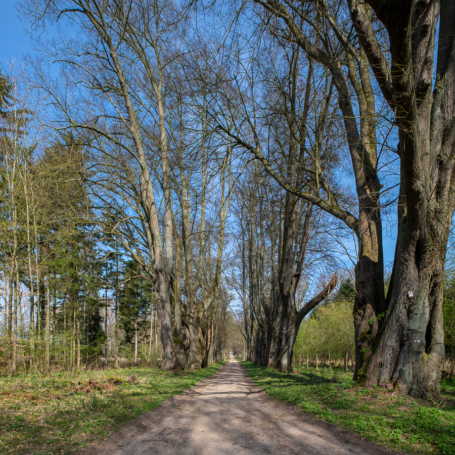 Herzogtum Lauenburg
