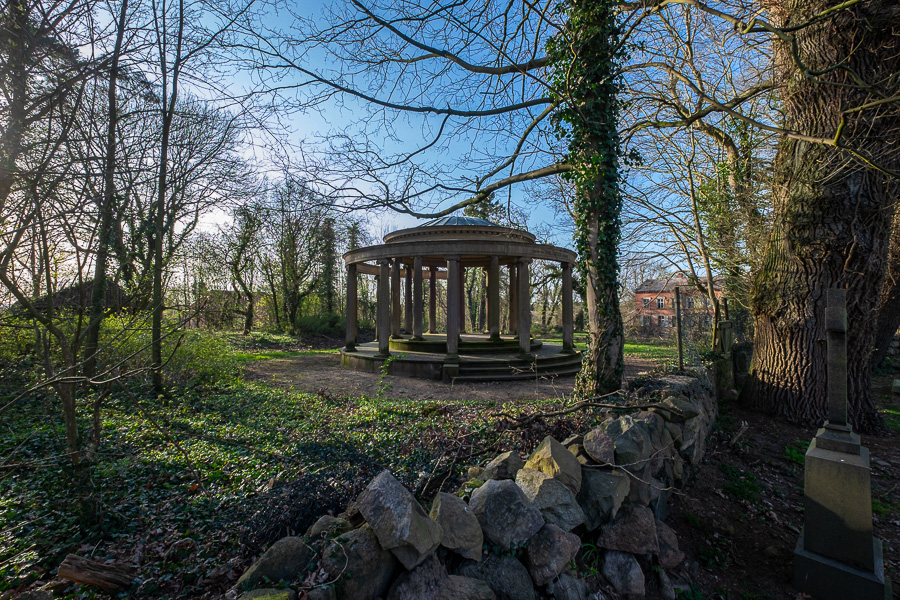 DSCF0211.jpg DSCF0211.jpg