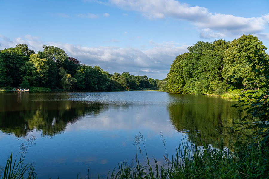 Muehlenteich in Reinbek Muehlenteich-in-Reinbek_Reinbek_DSC06727.jpg