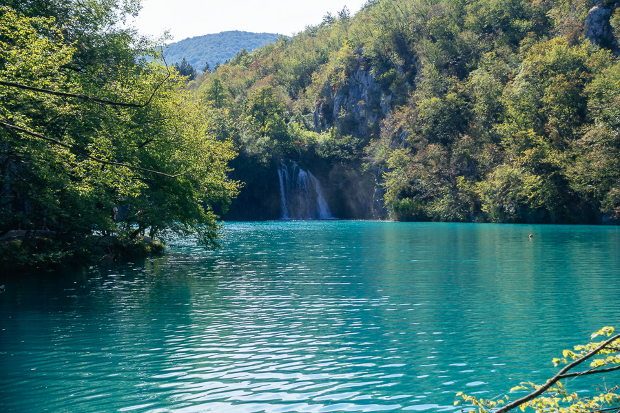 DSC02441.jpg DSC02441.jpg