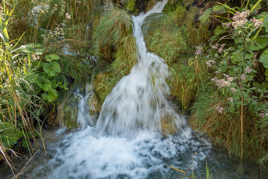 DSC02497.jpg DSC02497.jpg