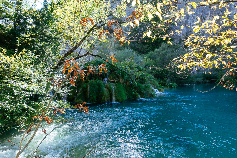 DSC02500.jpg DSC02500.jpg