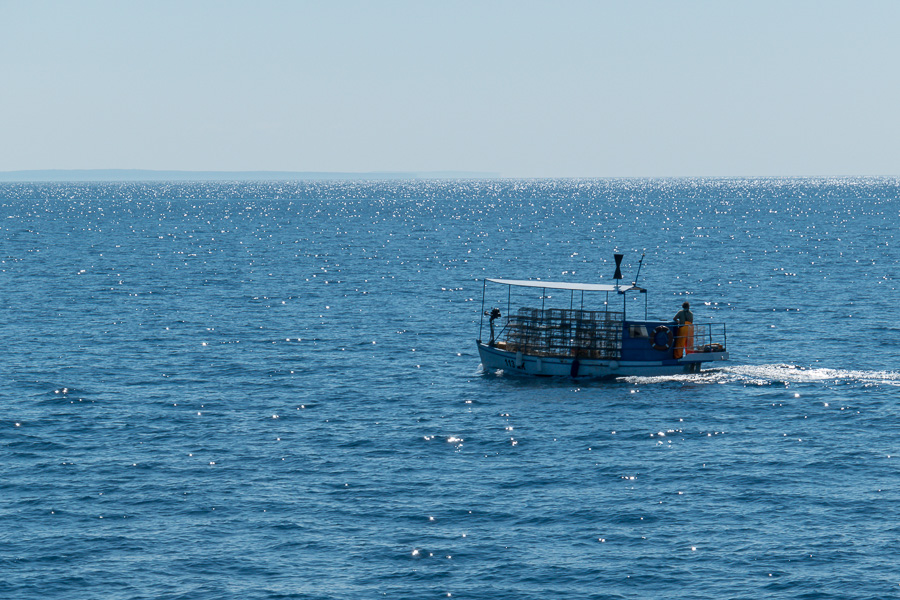 P1000570.jpg P1000570.jpg