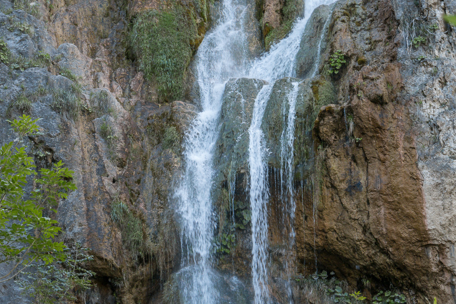 P1000603.jpg P1000603.jpg