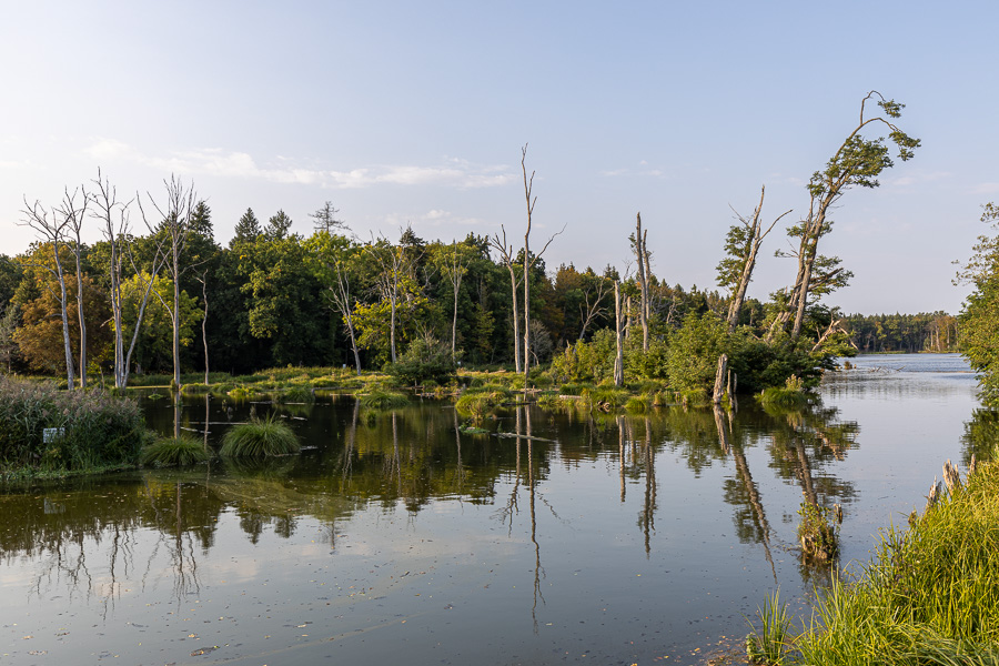 Schilde 081A1130.jpg