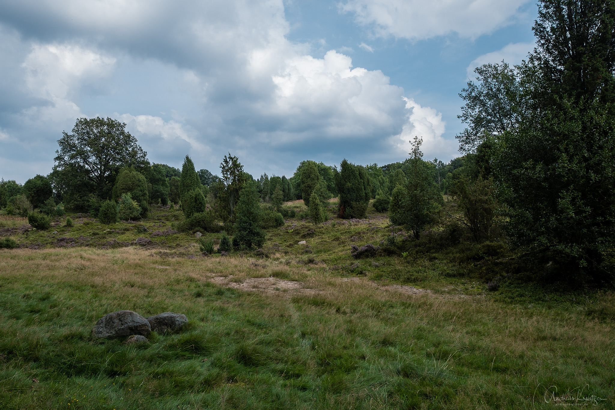 DSCF2934-Bearbeitet.jpg
